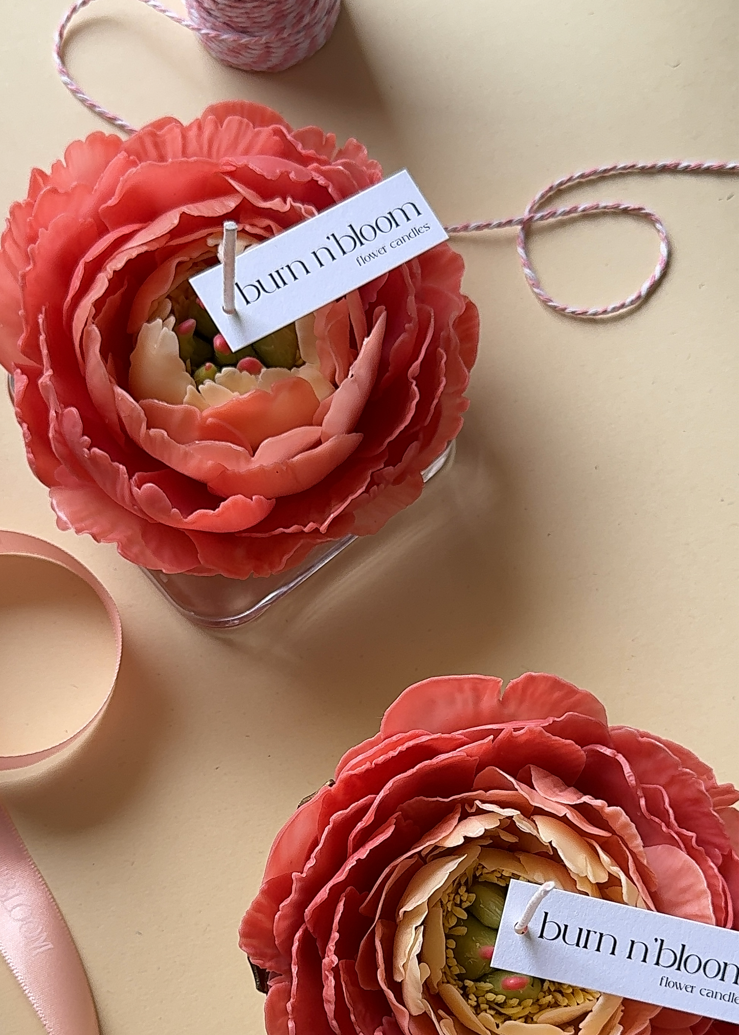 Candle Peony “Coral charm”