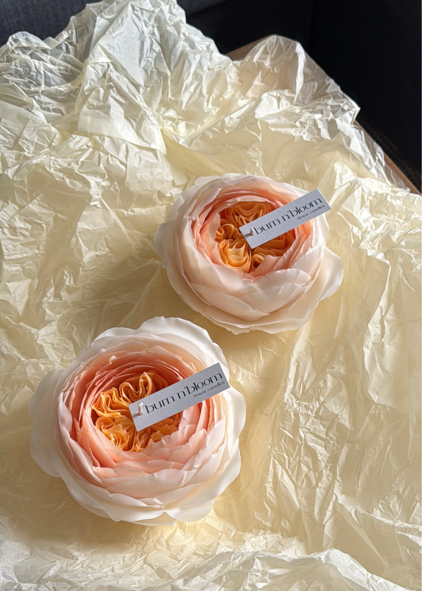 Candle Rose “Juliette”