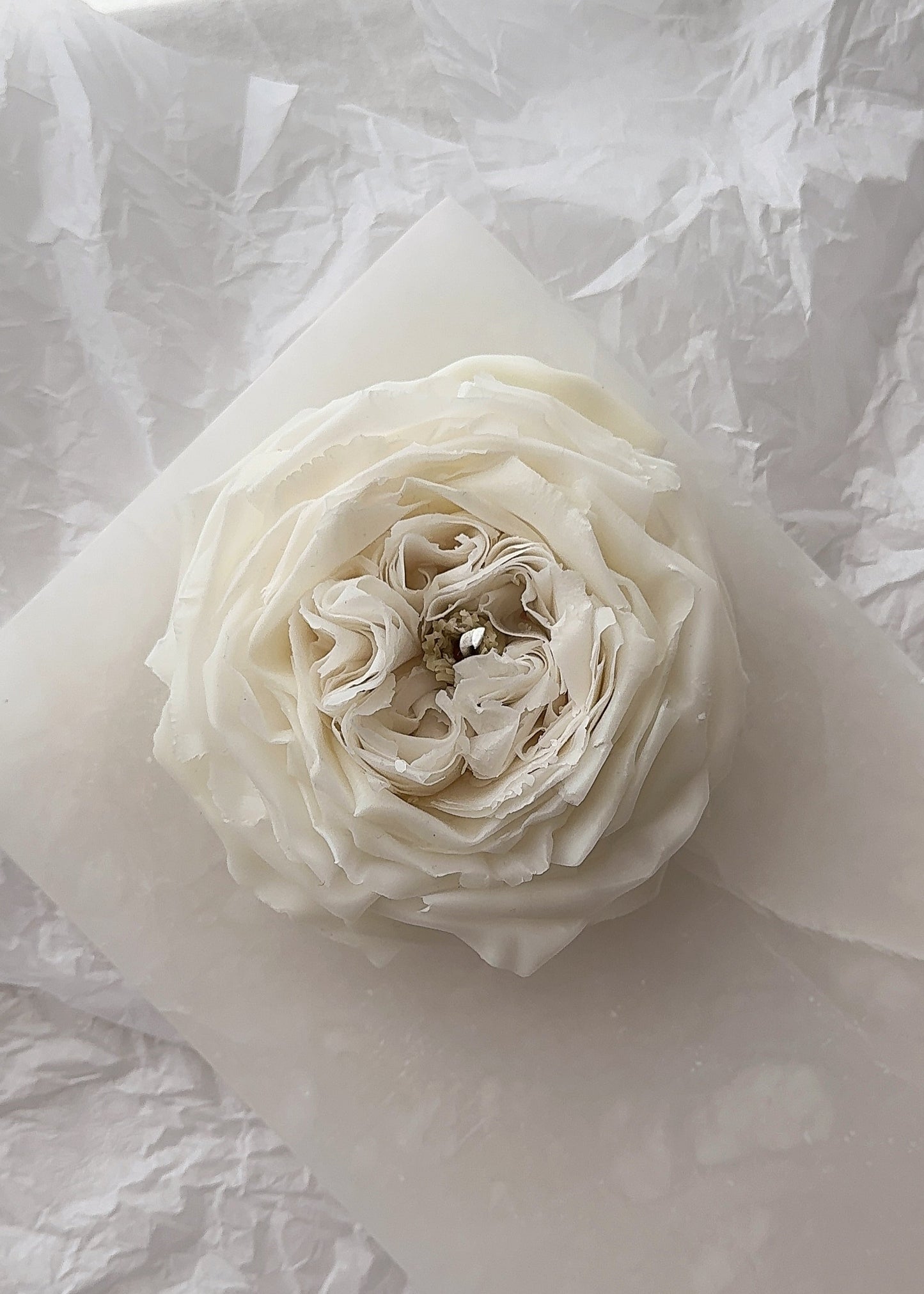 Candle Rose “Leonora”