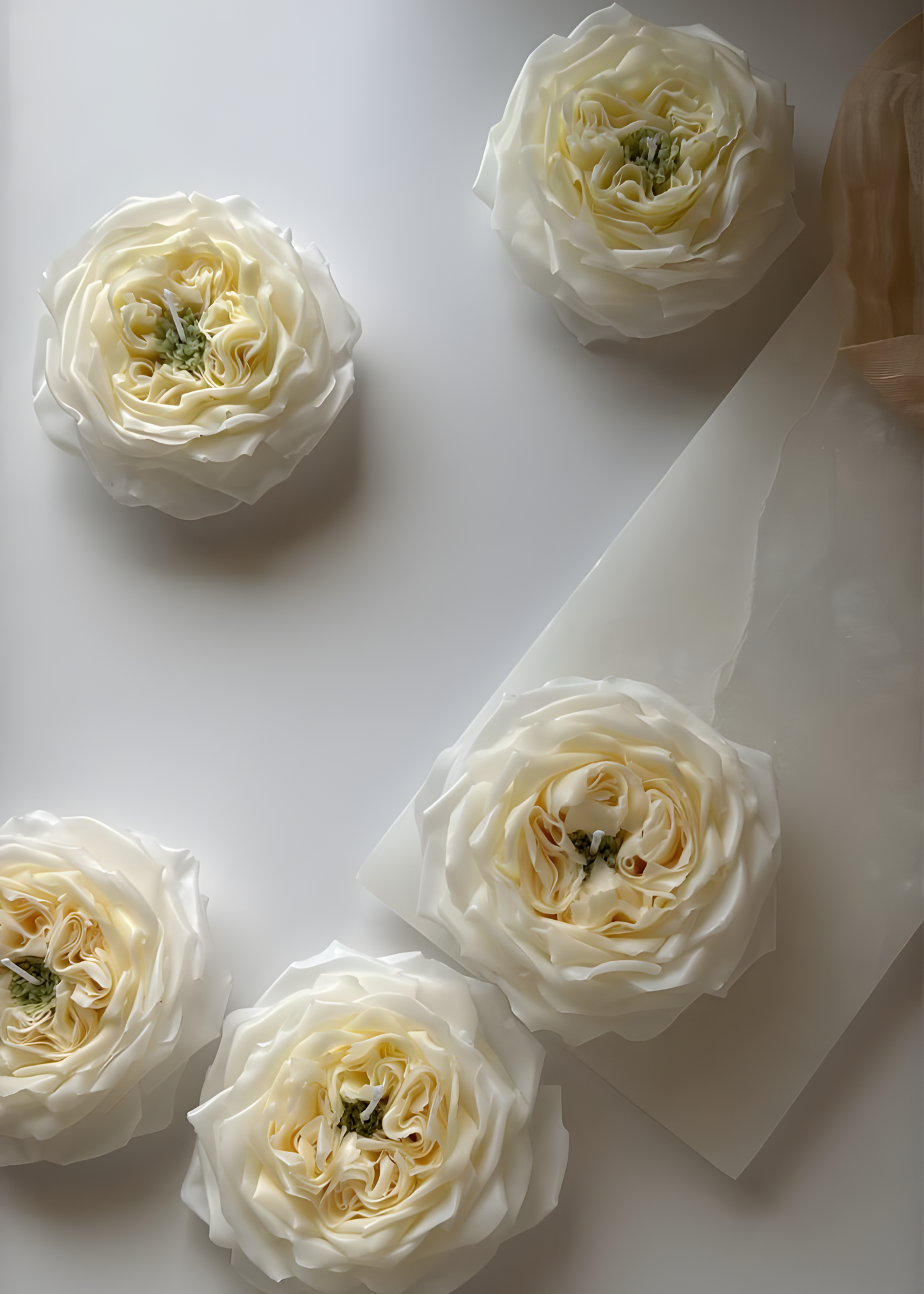 Candle Rose "Royal Park"