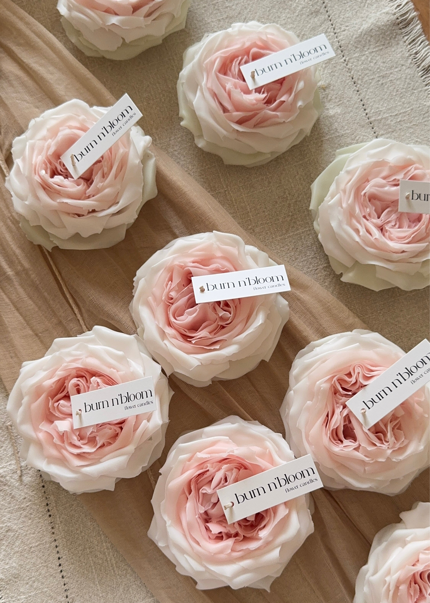 Candle Rose “White O’Hara”