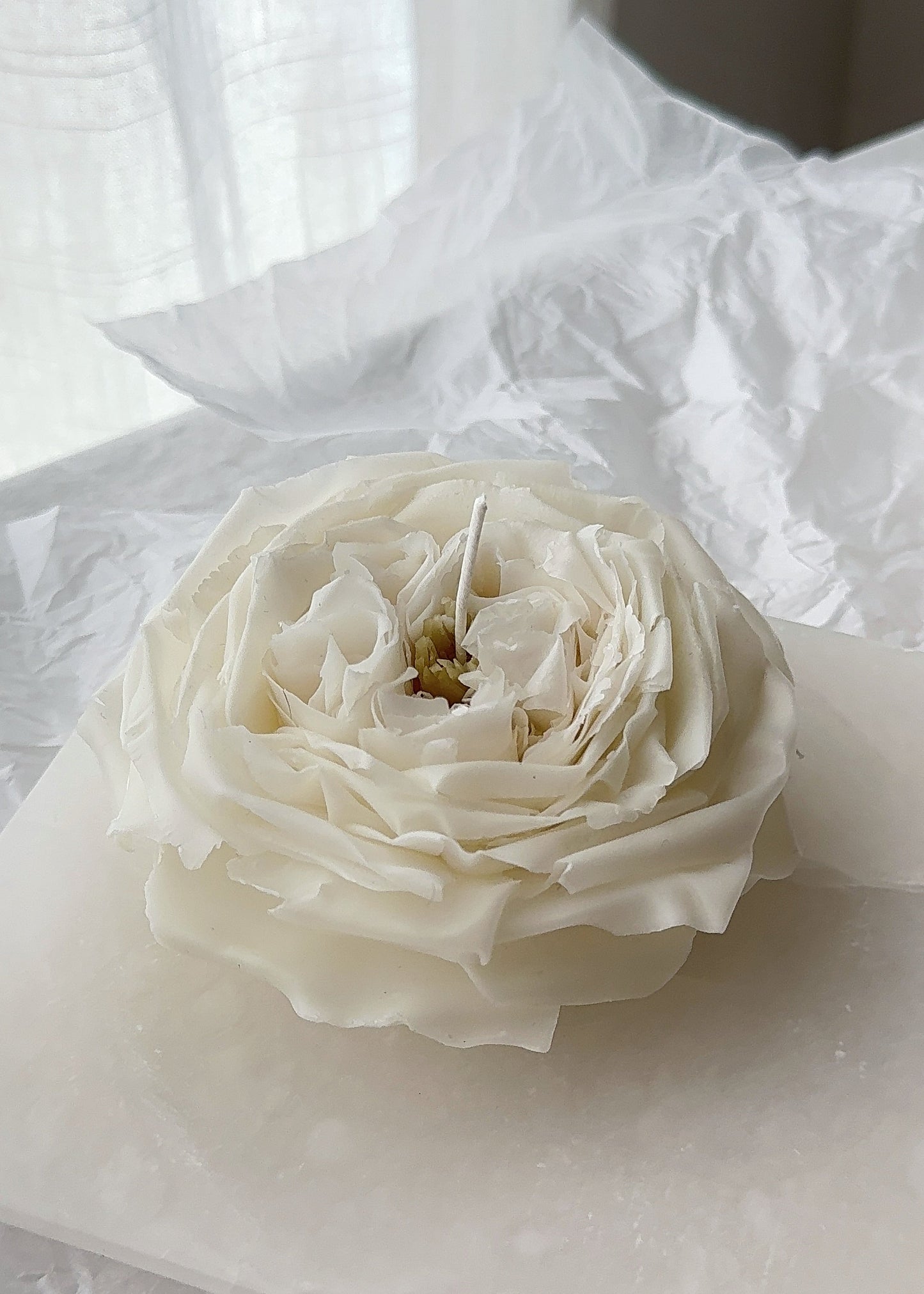 Candle Rose “Leonora”
