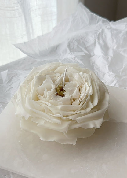 Candle Rose “Leonora”