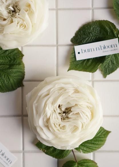 Candle Rose “Leonora”